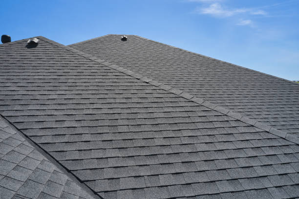 Best Roof Coating and Sealing  in Talahi Island, GA